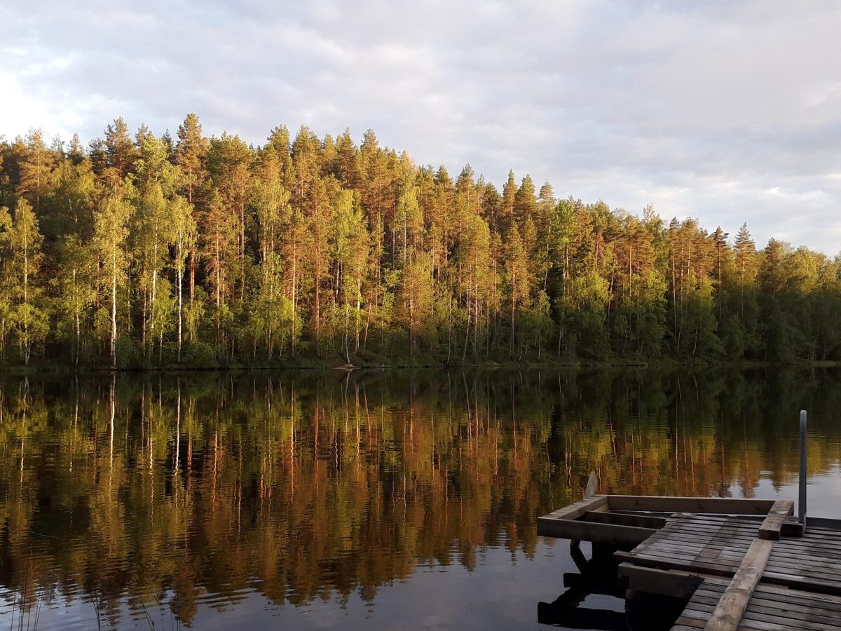 Miksi osallistua TRE-jatkokurssille?